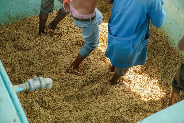 Quelle est la méthode la plus efficace pour créer un mur d'accent avec des matériaux recyclés ?