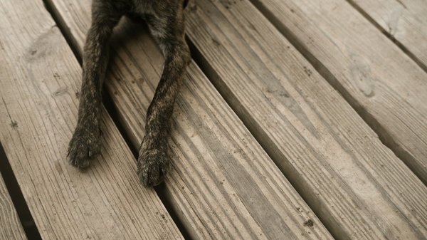 Comment installer un plancher autoportant dans une pièce aux murs irréguliers?