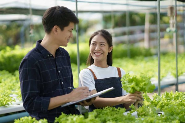 Quelles sont les meilleures pratiques pour la culture de légumes hydroponiques en climat froid?
