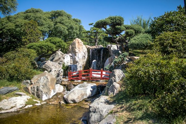 L'art et la symbolique du jardin japonais : entre sérénité et beauté
